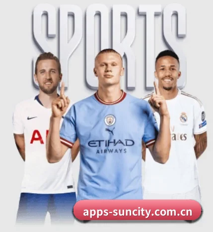 太阳城APP APP